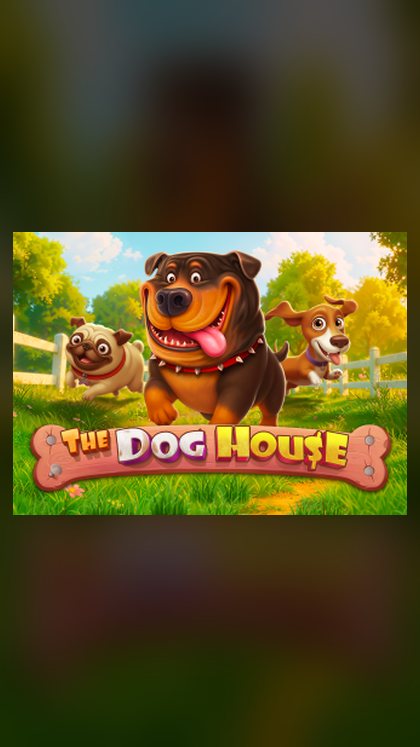 The Dog House